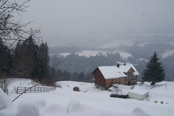 Buch - Parz_ Egg Richtung See.JPG
