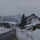 Buch - Parz_ H__fling Richtung Zentrum.JPG