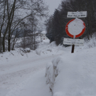 Buch - Parz_ Moor.JPG