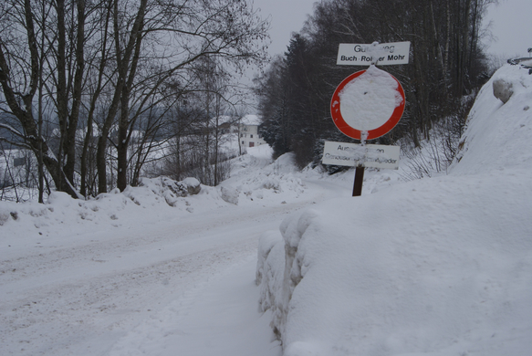 Buch - Parz_ Moor.JPG