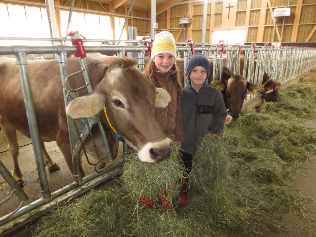 Faisst Offener Hof Kinder 28-10-2012 _1__jpg-1352019534