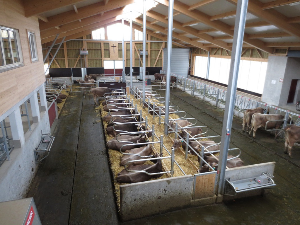 Faisst Offener Hof Stallungen 28-10-2012 _7__jpg-1352019555