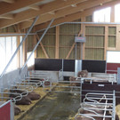 Faisst Offener Hof Stallungen 28-10-2012 _4__jpg-1352019547