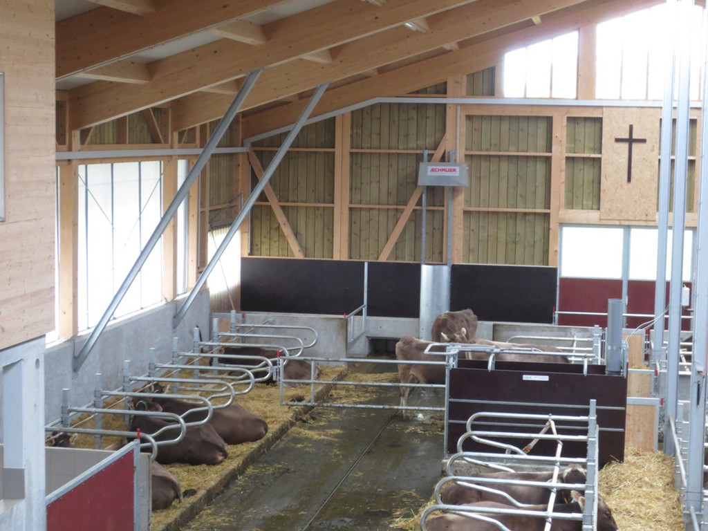 Faisst Offener Hof Stallungen 28-10-2012 _4__jpg-1352019547