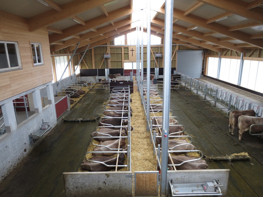 Faisst Offener Hof Stallungen 28-10-2012 _1__jpg-1352019539
