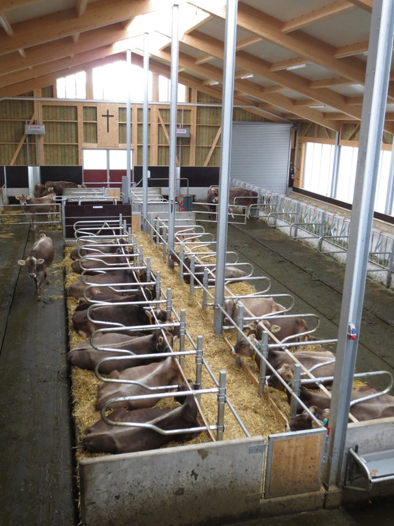 Faisst Offener Hof Stallungen 28-10-2012 _8__jpg-1352019557