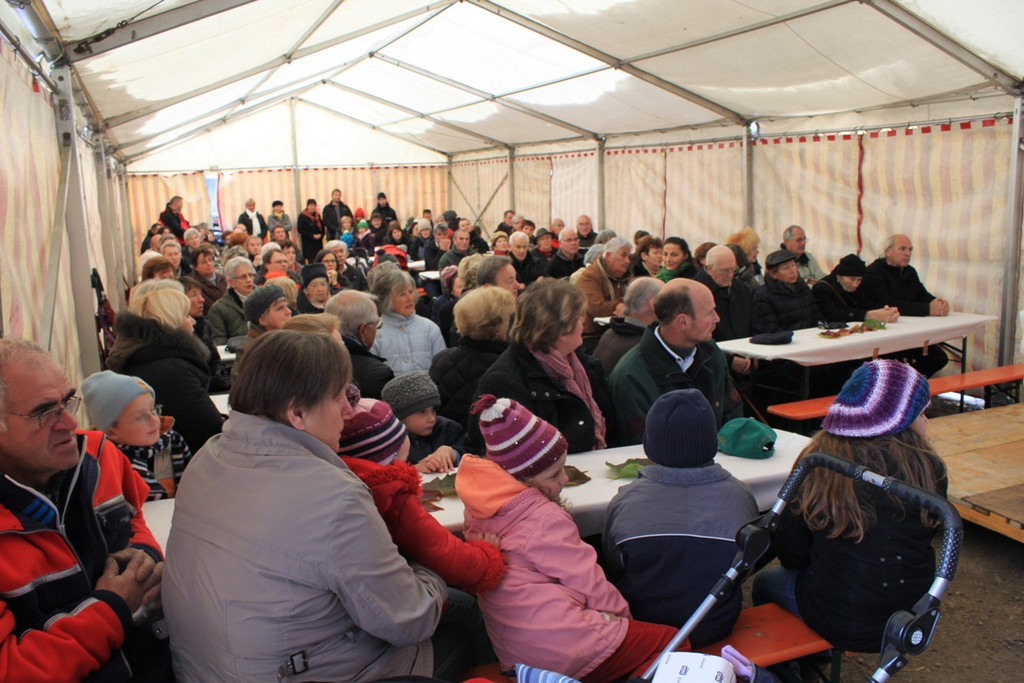 Faisst Offener Hof Fest 28-10-2012 _14__JPG-1352019495