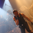 12194161.jpg