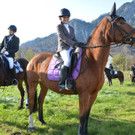 04112012pferdesmesseat5009aktivnews_70.jpg
