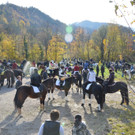 04112012pferdesmesseat5009aktivnews_100.jpg
