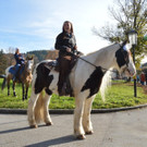 04112012pferdesmesseat5009aktivnews_40.jpg