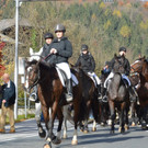 04112012pferdesmesseat5009aktivnews_34.jpg