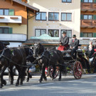 04112012pferdesmesseat5009aktivnews_10.jpg