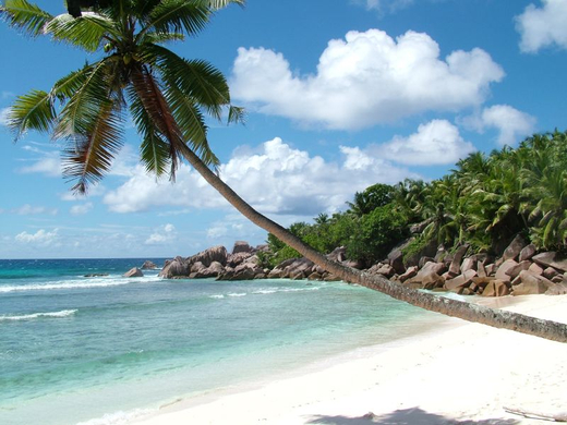 Anse Cocos.jpg