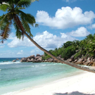 Anse Cocos.jpg