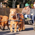 normal_04112012_fmt_LeonhardreitenGroedig_ex_019.JPG