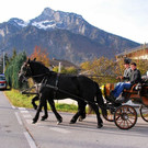 normal_04112012_fmt_LeonhardreitenGroedig_ex_039.JPG