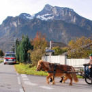 normal_04112012_fmt_LeonhardreitenGroedig_ex_042.JPG