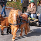 normal_04112012_fmt_LeonhardreitenGroedig_ex_088.JPG