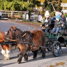 normal_04112012_fmt_LeonhardreitenGroedig_ex_094.JPG