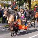 normal_04112012_fmt_LeonhardreitenGroedig_ex_097.JPG