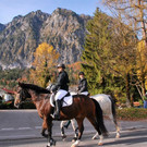 normal_04112012_fmt_LeonhardreitenGroedig_ex_100.JPG