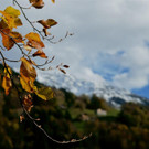 DSC06479 _Large__JPG-1352045245