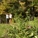 DSC06481 _Large__JPG-1352045250