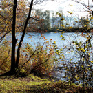 DSC08752_JPG-1352045981