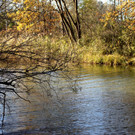 DSC08758_JPG-1352046245