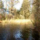 DSC08759_JPG-1352046293