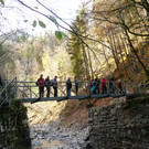 P1100215.JPG