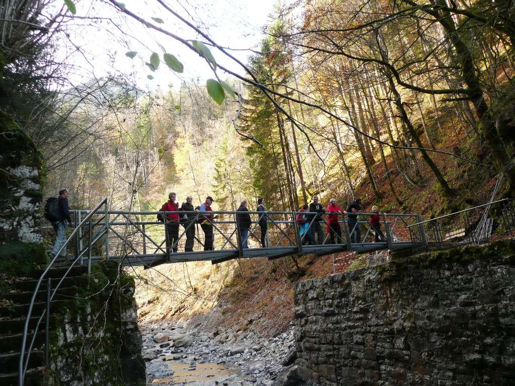 P1100215.JPG
