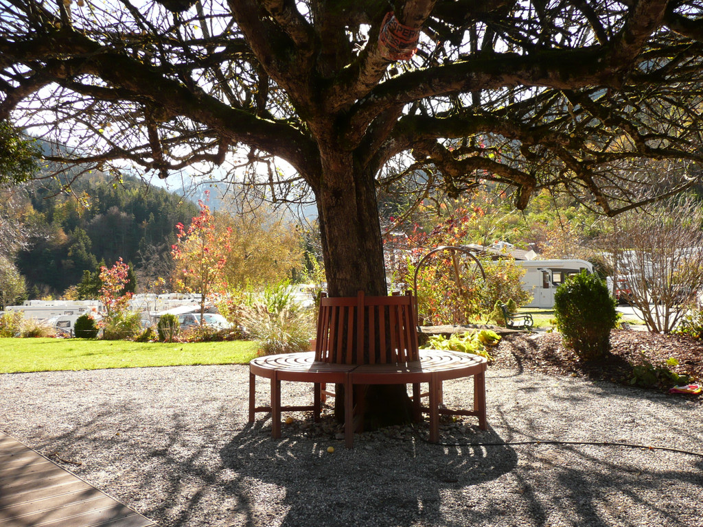 P1100229.JPG
