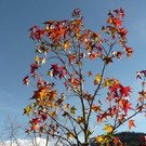 P1100237.JPG