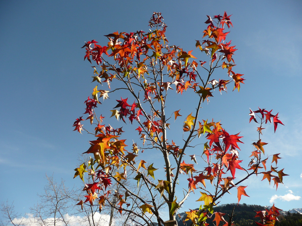P1100237.JPG