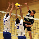 KRUG20121103308.jpg