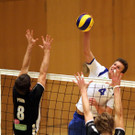 KRUG20121103314.jpg
