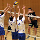 KRUG20121103318.jpg