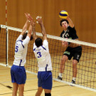 KRUG20121103317.jpg