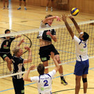 KRUG20121103323.jpg