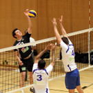 KRUG20121103321.jpg