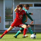 KRUG20121103046.jpg