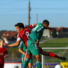 KRUG20121103045.jpg