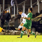 KRUG20121031304.jpg