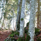 P1020671_JPG-1352143811