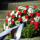 113_1296_JPG-1352156980