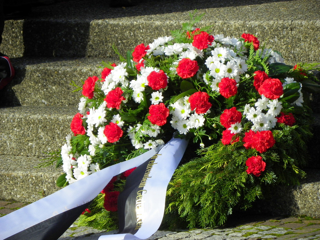 113_1296_JPG-1352156980