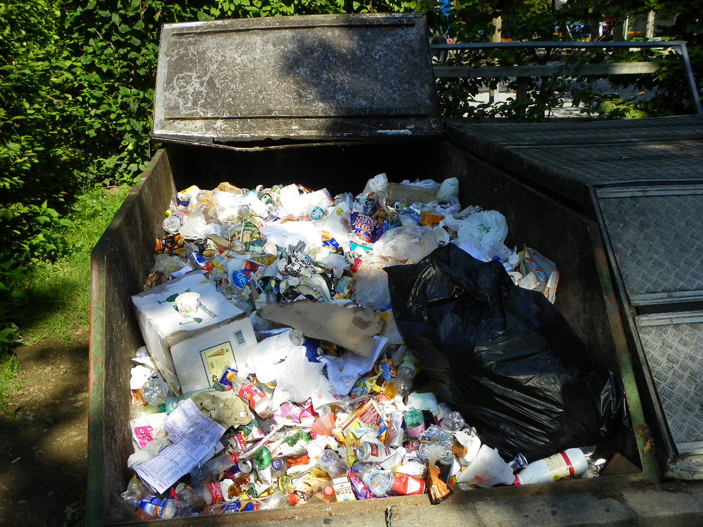 116_1680_JPG-1352157343