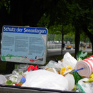 115_5910_JPG-1352157309